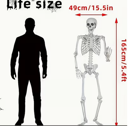 1pc Super Large Halloween Skull